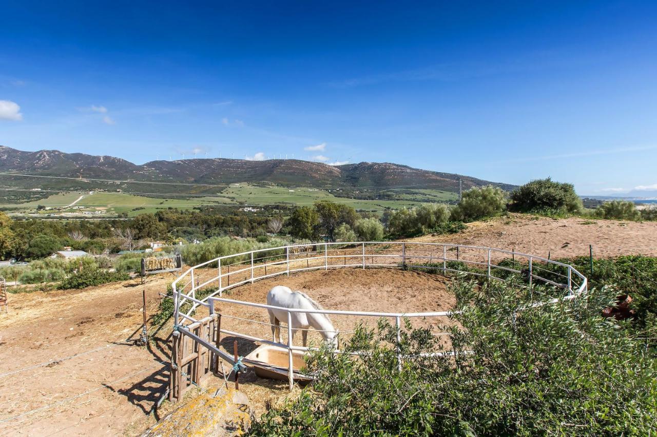 Casita Rural En Centro De Hipica Διαμέρισμα Ταρίφα Εξωτερικό φωτογραφία